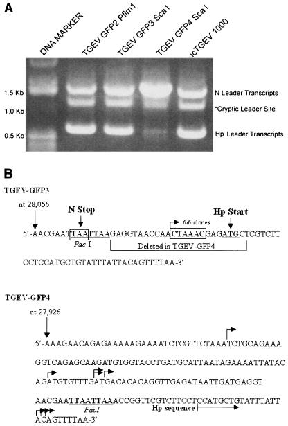 FIG. 3.