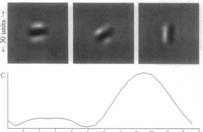 graphic file with name pnas01138-0428-a.jpg