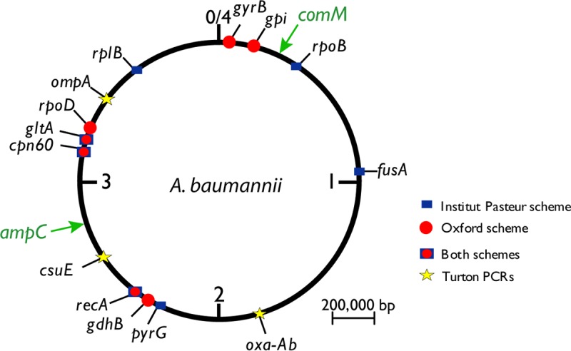 FIG 1