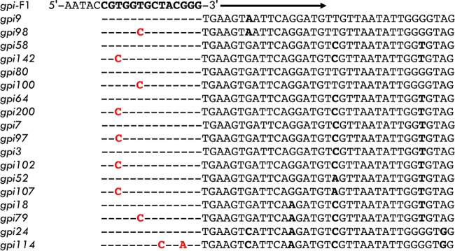 FIG 2