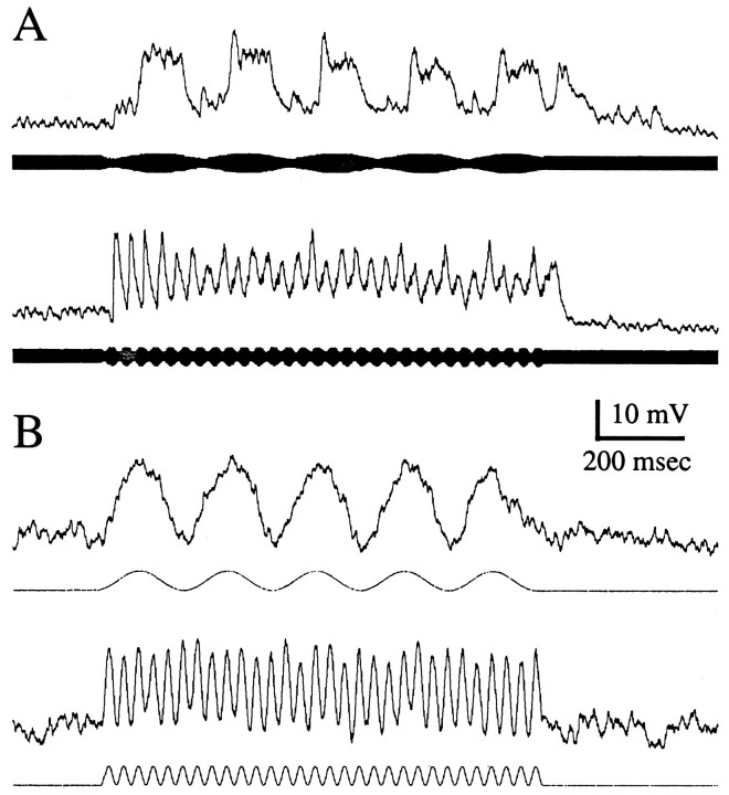 Fig. 10.