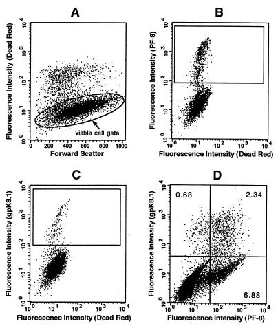 FIG. 3