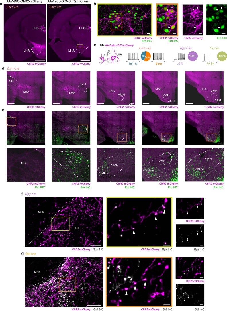 Extended Data Fig. 4