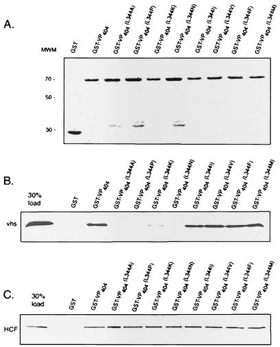 FIG. 5.