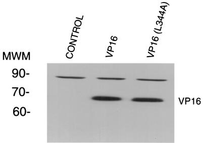 FIG. 7.