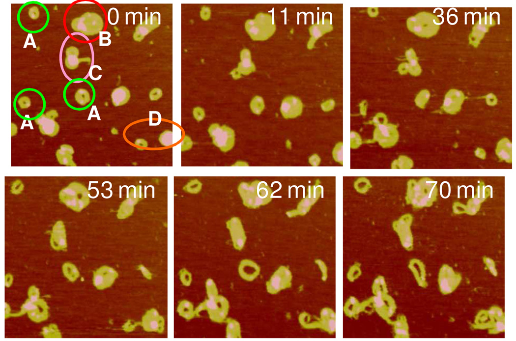 Figure 5