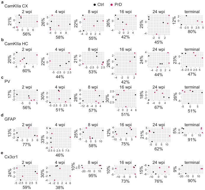 Figure 4—figure supplement 1.