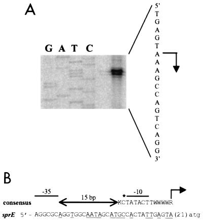 FIG. 7