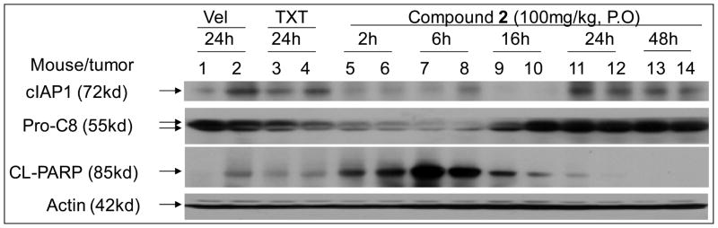 Figure 11