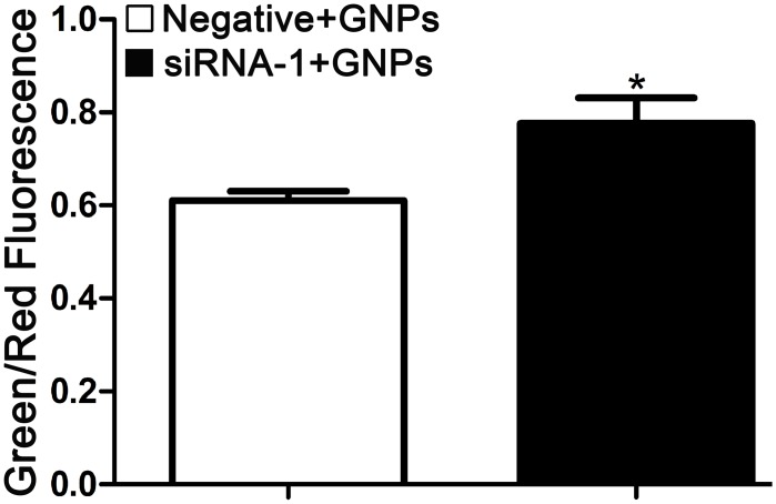 Fig 6