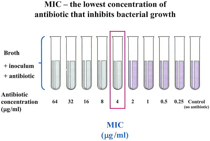 Fig 8