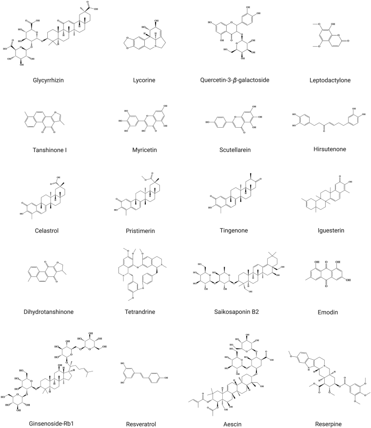 Figure 2