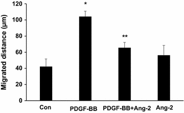 Fig. 4