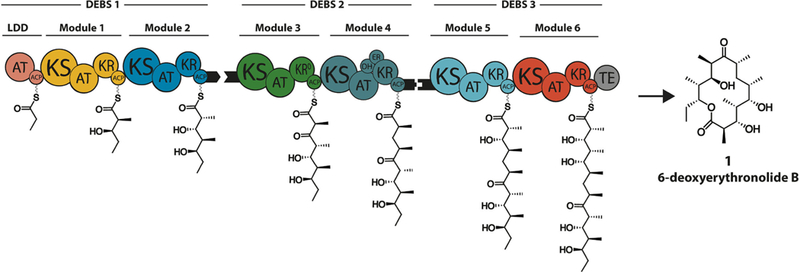 Figure 1.