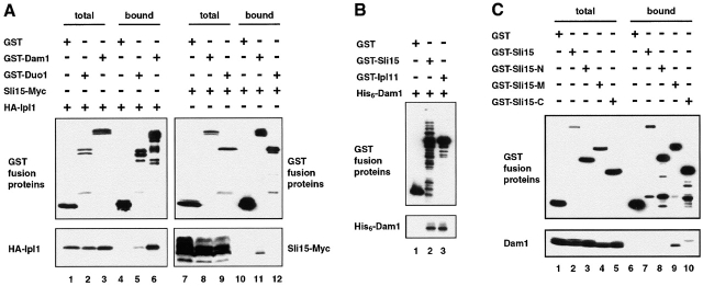 Figure 6.