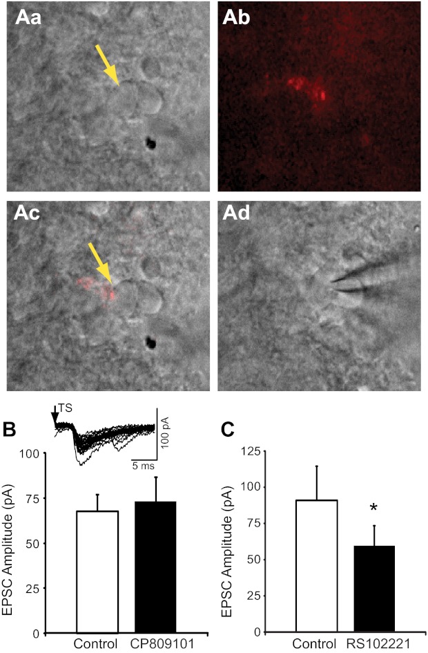 Fig. 9.