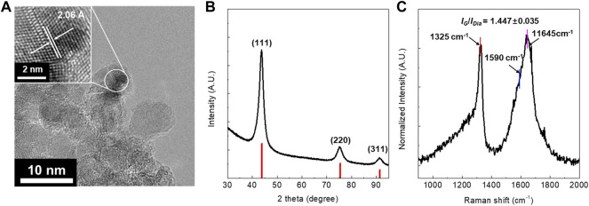 FIGURE 1