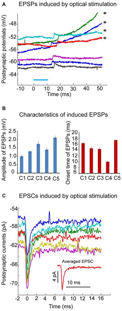 Figure 6