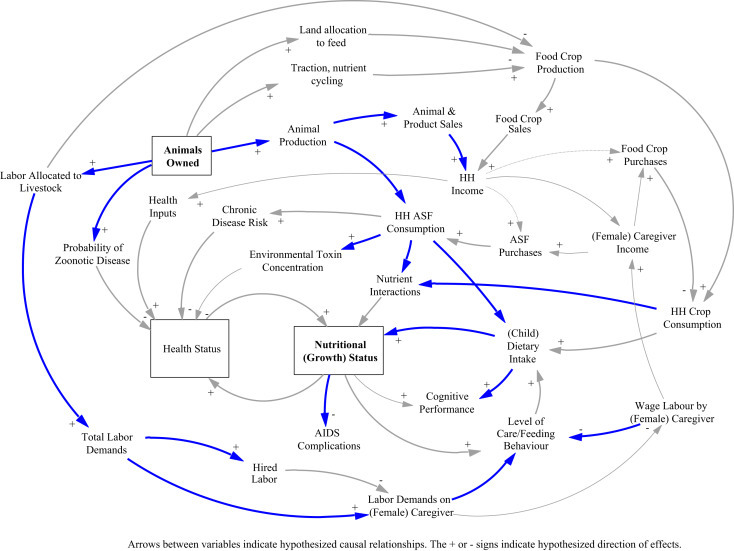 Figure 1