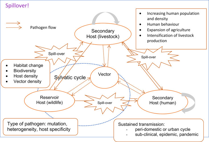 Figure 4