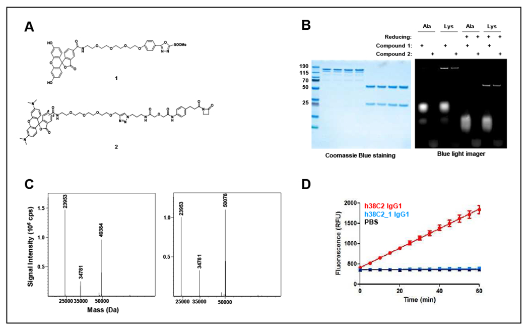 Figure 2.