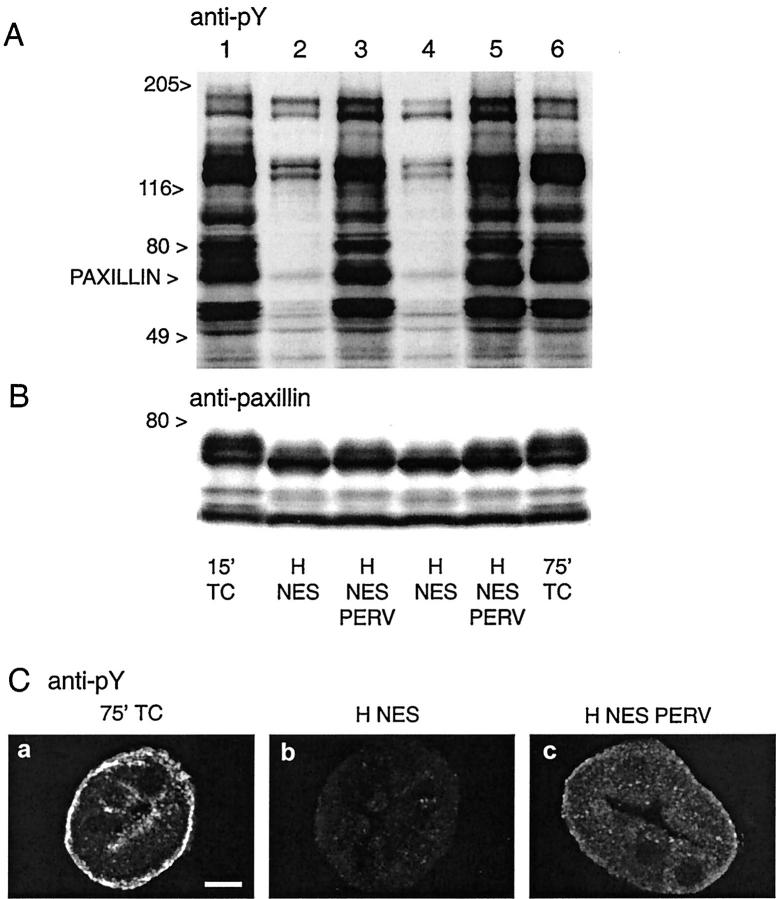 Figure 10.