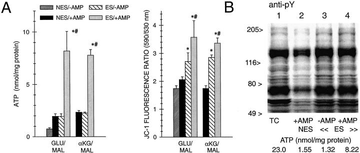 Figure 11.