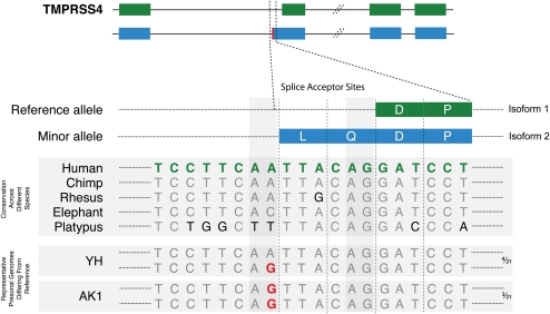 Figure 5.