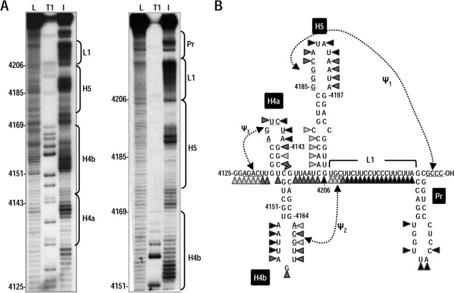 FIG 2