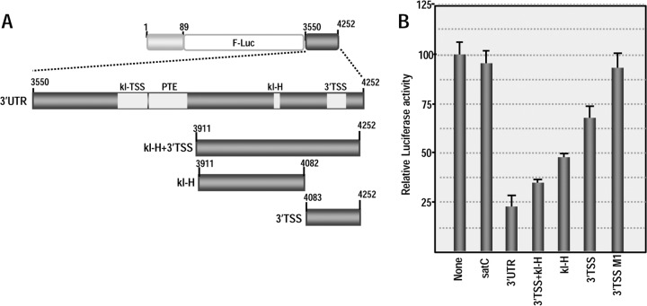 FIG 10