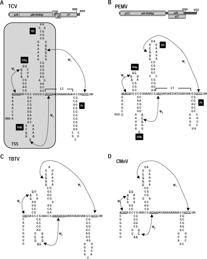 FIG 1