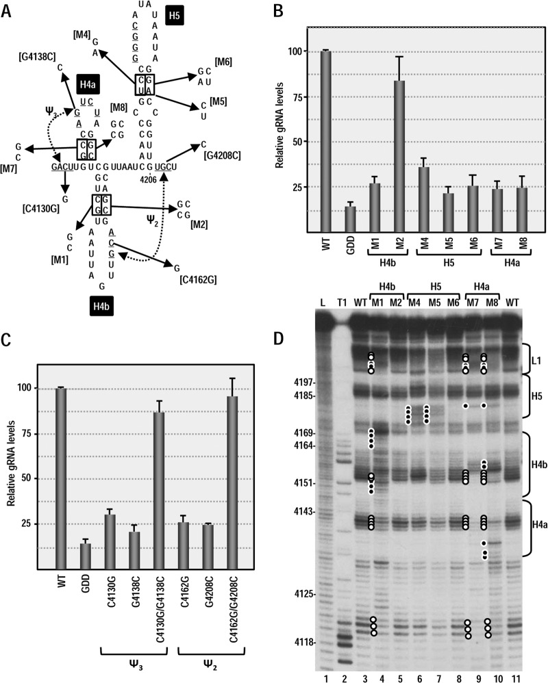 FIG 3