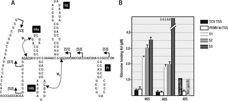 FIG 6