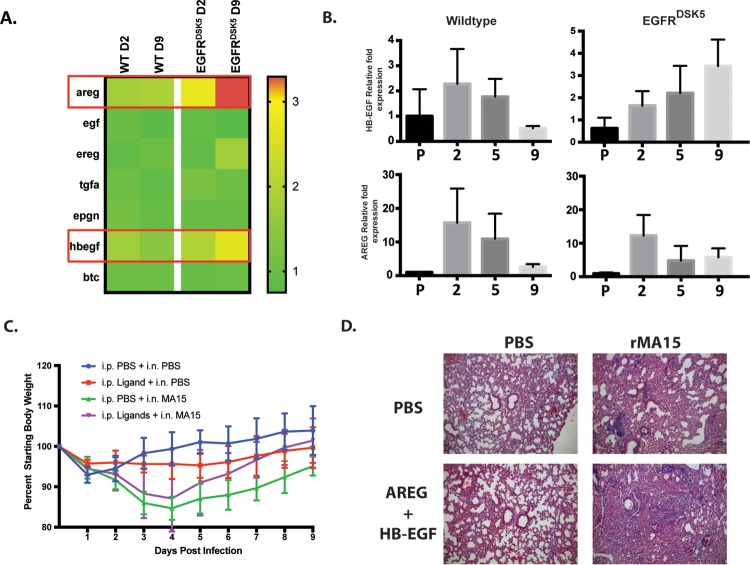 FIG 6