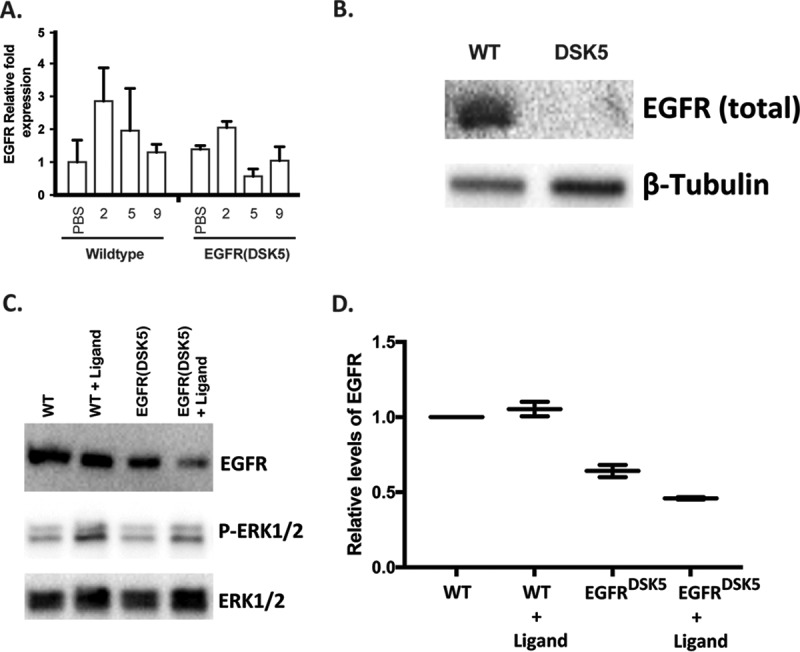 FIG 2