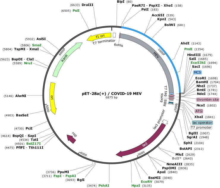 Fig 10