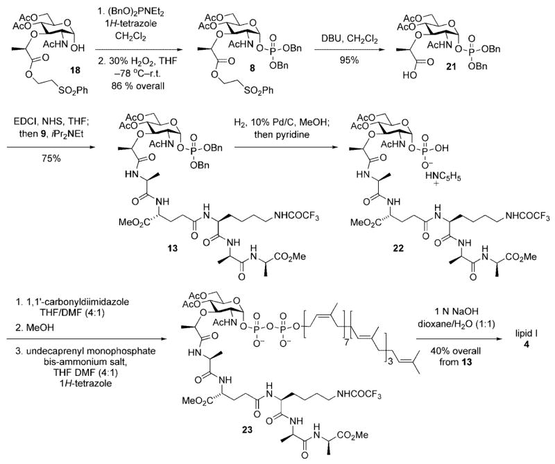 Scheme 6