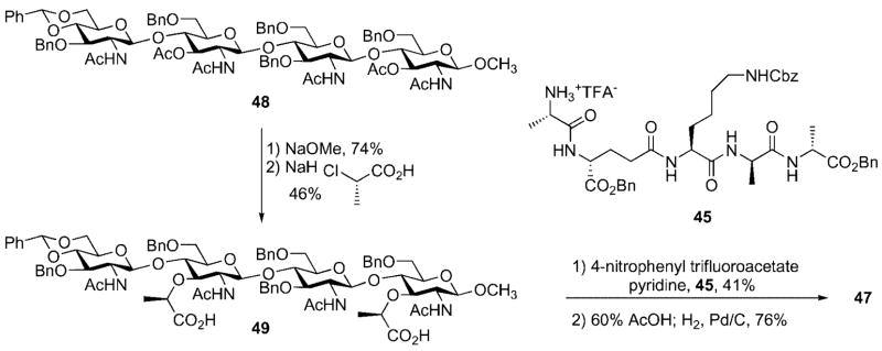 Scheme 14