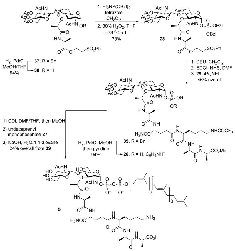 Scheme 12