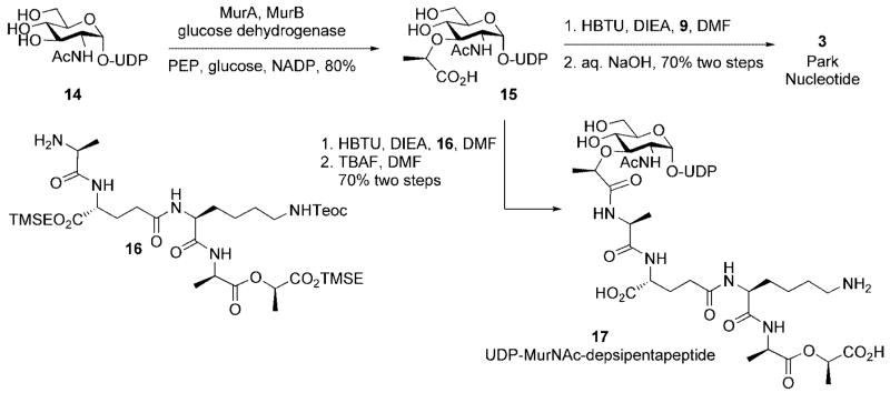 Scheme 4