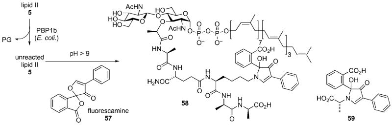 Scheme 16