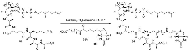 Scheme 15