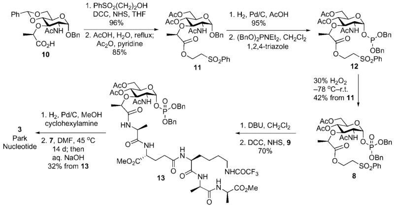 Scheme 3