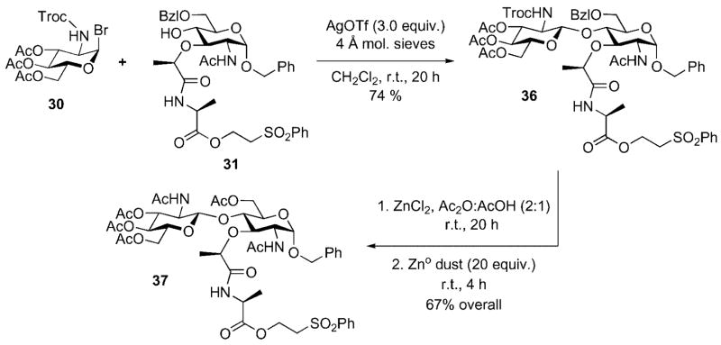 Scheme 11