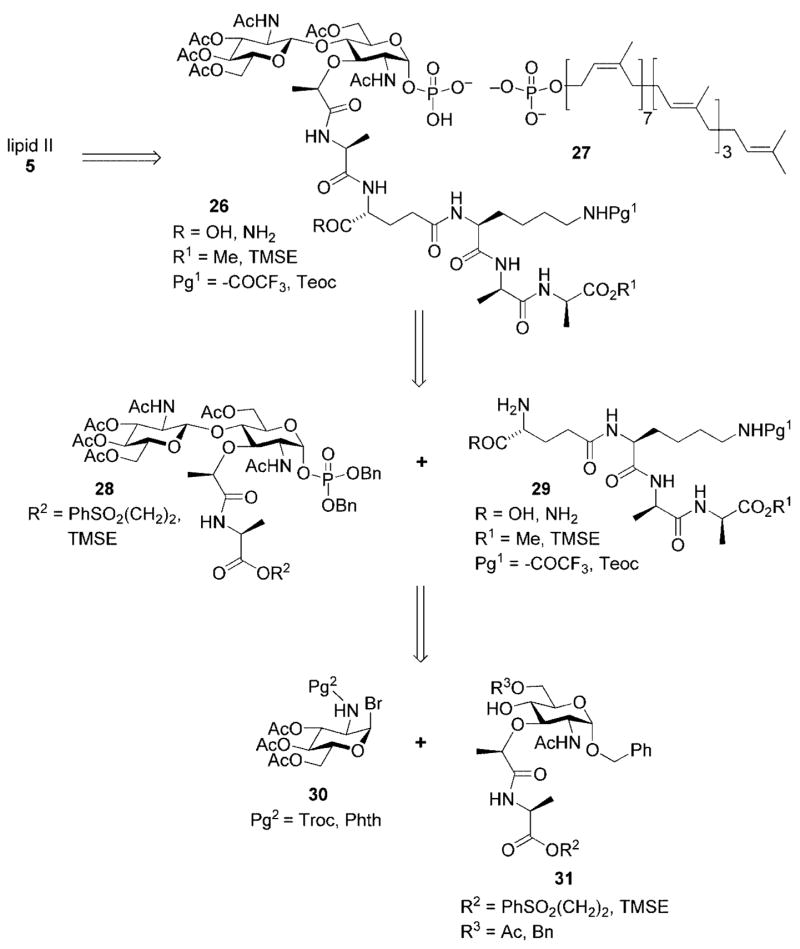 Scheme 8