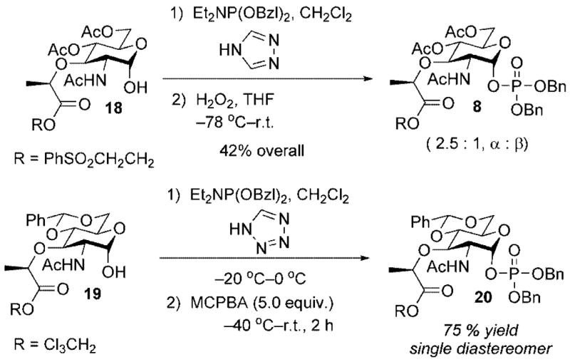 Scheme 5