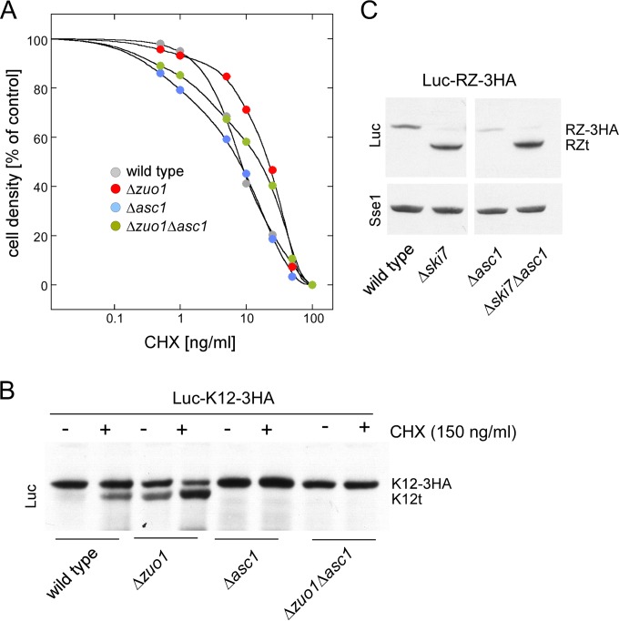 FIG 6