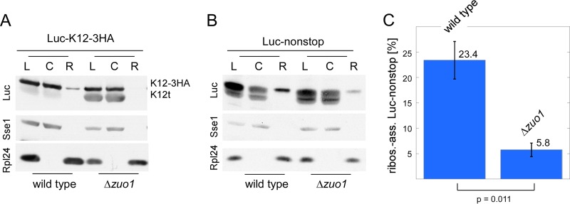 FIG 2