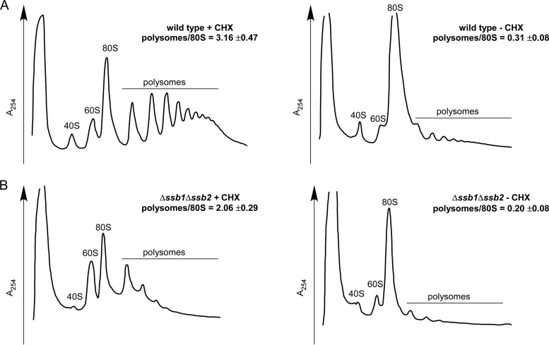 FIG 8