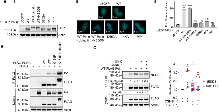 Figure 6: